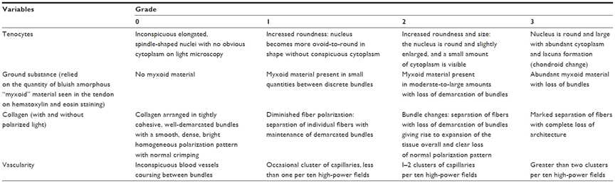 Modified Bonar score