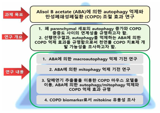 본 연구의 목표와 개요