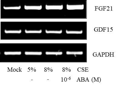 Effect of ABA on the expression of mitokines