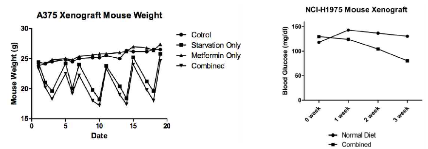 Mouse Xenograft 후 마우스의 체중과 혈당 변화. [좌] 2일 간격으로 마우스를 starvation한 경우, 체중이 감소하고 다시 증가함을 확인함. [우] Ketogenic Diet를 한 경우에 마우스 혈당이 지속적으로 감소함을 확인함