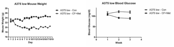 Carbohydrate Free Diet 후 마우스의 체중 및 혈당 변화 추이. [좌] 동일한 양의 사료를 마우스에게 준 후 체중을 추적한 결과 Carbohydrate free diet를 먹은 마우스의 체중이 10~20% 낮게 유지됨을 확인함. [우] 식이조절을 한 마우스의 경우 혈당이 대조군에 비해 현저히 낮아짐을 확인함