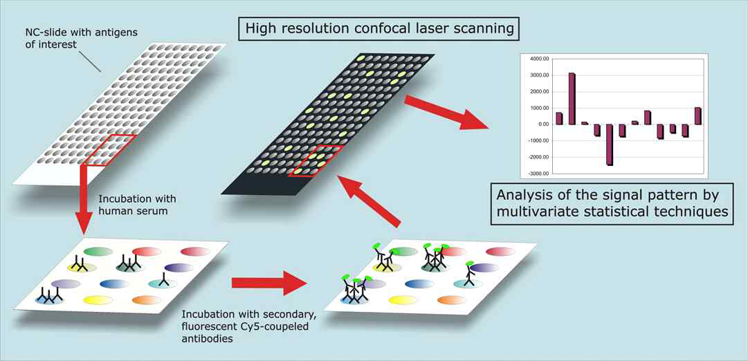 Microarray 방법을 이용한 표적 유전자 스크리닝