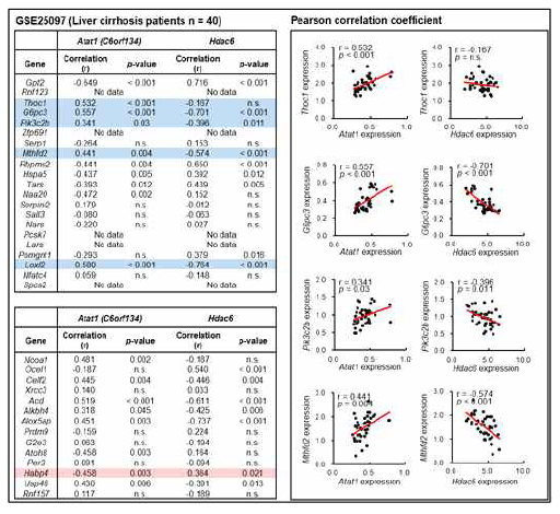 간경화 환자에서 후보 타겟 유전자 발현과 미세소관 아세틸화의 correlation 확인