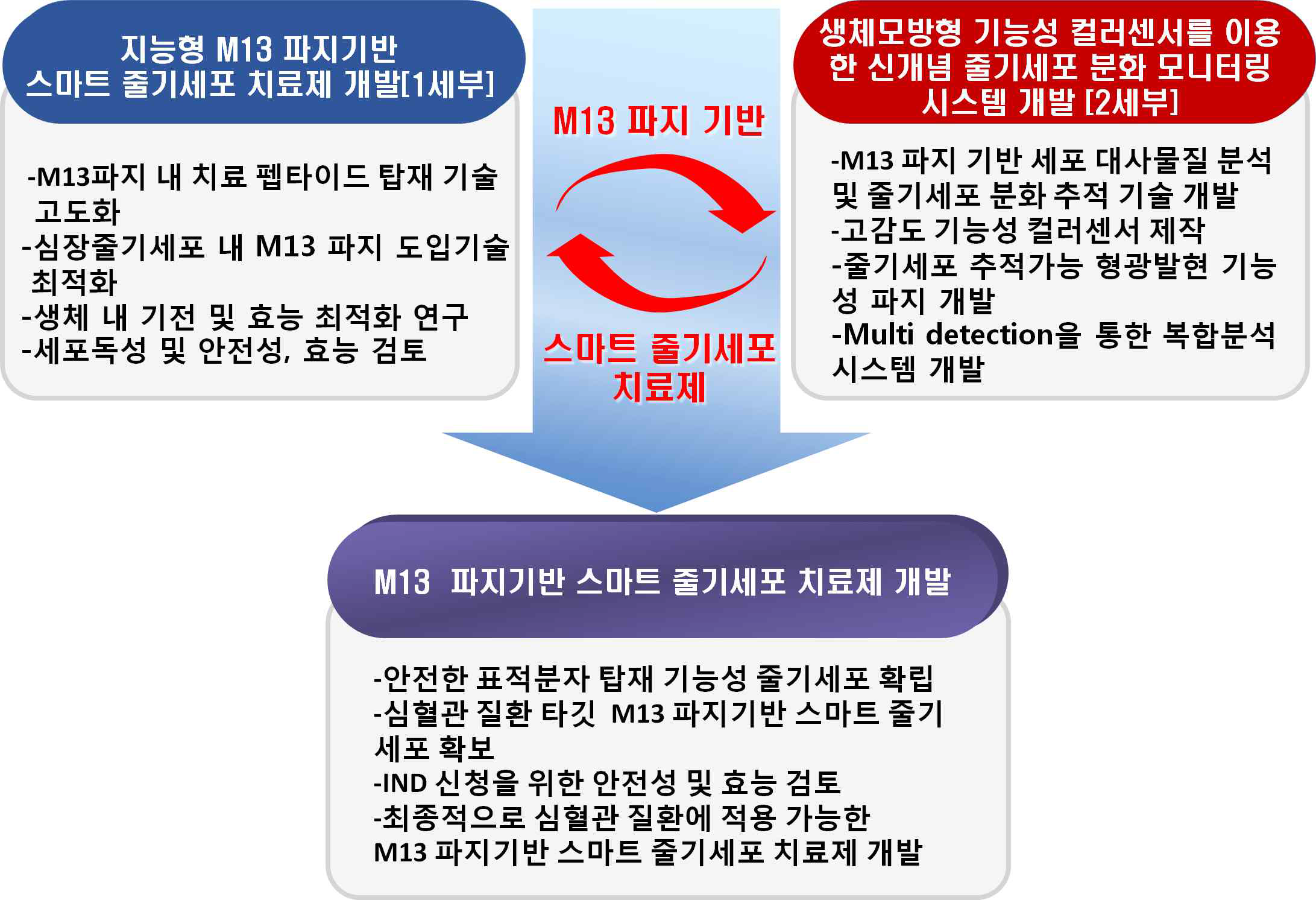 심혈관질환 동반 진단 및 줄기세포 치료제 개발을 위한 연구 추진 전략