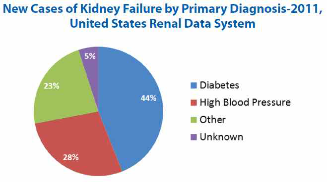 신부전 환자의 최초 진단 질병 분포도 (National chronic kidney disease fact sheet, 2014)