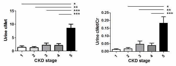 소변 cMet 농도와 신기능과의 상관관계