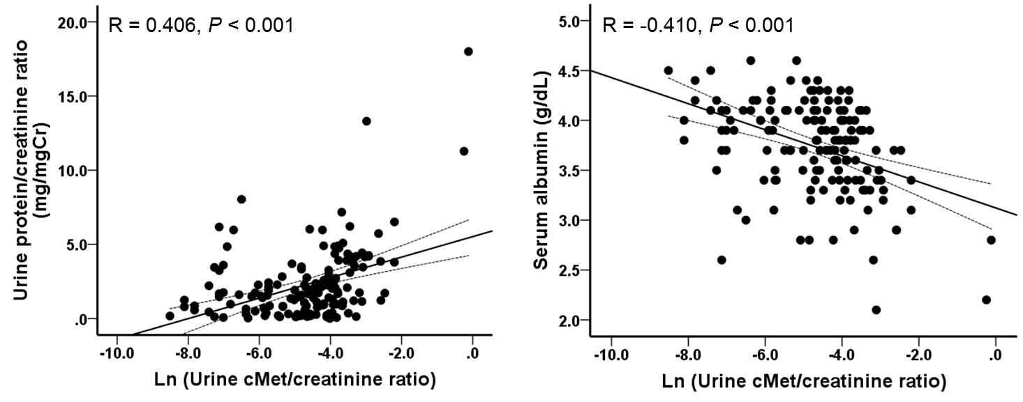 소변 cMet 농도와 단백뇨, 혈청 알부민과 상관관계