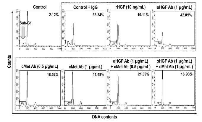 HGF와 독립적으로 나타나는 cMet 항체의 항-세포사멸 효과