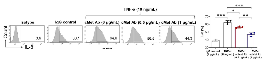 TNFα 자극으로 증가한 IL-8의 항체 투여 후 변화 확인