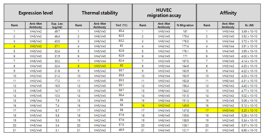 최종 후보항체 선별을 위한 지표 분석 요약 – 각 후보항체의 발현량, 열역학적 안전성, 생물학적 활성, 결합력