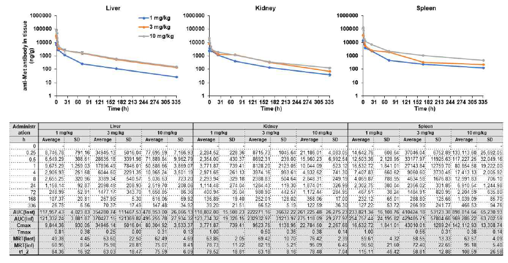 확립된 ELISA 분석법 기반 정상 마우스 조직(Liver, kidney, spleen) 내 후보항체(Anti-Met 항체)의 농도 및 약동학 파라미터
