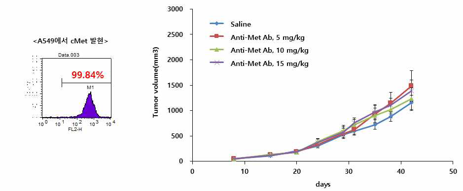 A549 세포주 내 cMet 발현 정도 및 A549로 이형종양을 형성한 마우스에 후보항체를 총 4회 투여한 종양성장 실험 결과