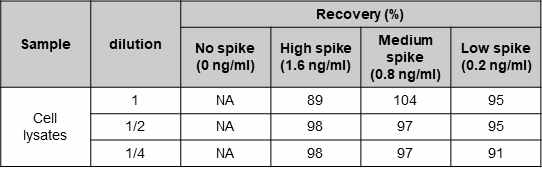 Phosphorylated cMet ELISA – 세포 용해액에서 회수율 평가