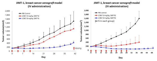 유방암 JIMT-1 CDX 동물모델에서의 효능평가 결과