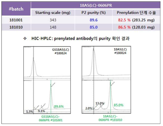 개발 후보 항체의 prenylation 반응성 및 단백질 회수율 확인 결과