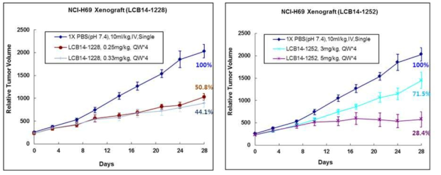 소세포폐암 NCI-H69 CDX 동물 모델에서의 효능평가 결과 - 2차