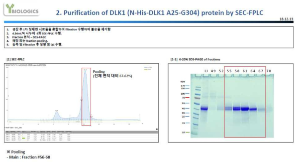 SEC-HPLC를 이용한 N-HIS-DLK1 항원 정제