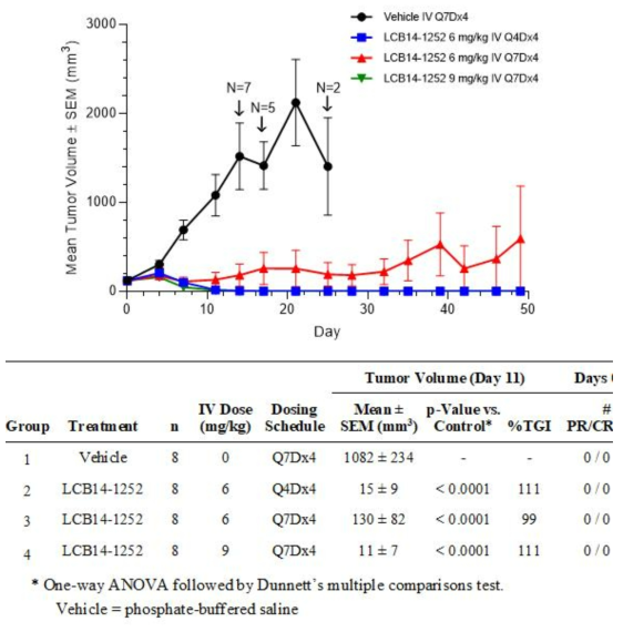 소세포폐암 PDX 동물 모델 (CTG-199) 에서의 효능평가 결과