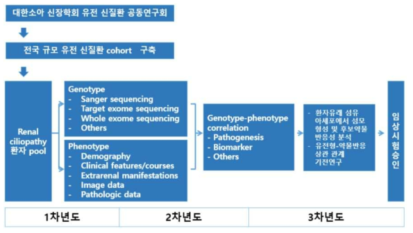 1세부과제의 연도별 연구 목표