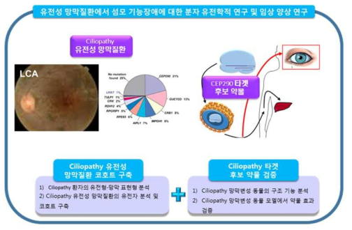 2세부과제의 연구 목표 및 내용