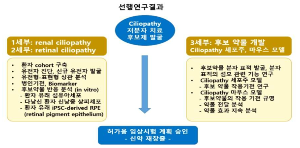 본 과제의 총괄적 추진 전략 및 방법