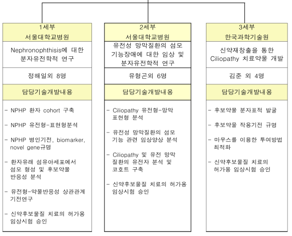 총괄 연구 개발 추진 체계