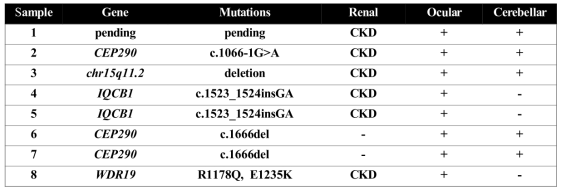 8명의 renal ciliopathy 환자에서 피부 생검으로 확보한 섬유아세포