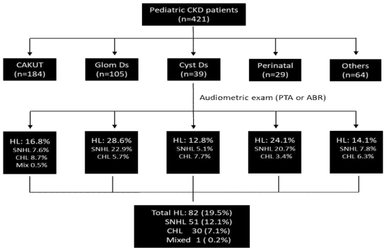 Incidence of hearing difficulty in pediatric patients with chronic kidney disease (CKD, chronic kidney disease; CAKUT, congenital anomalies of kidney and urinary tract; Glom Ds, glomerular diseases; Cyst Ds, cystic kidney diseases; Perinatal, prenatal illness; PTA, pure tone audiometry; ABR, automated brainstem response; SNHL, sensorineural hearing loss; CHL, conductive hearing loss)