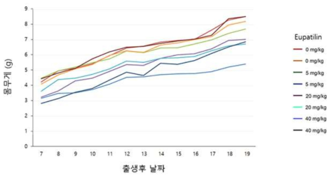 Eupatilin 투여가 어린 생쥐의 성장에 미치는 영향