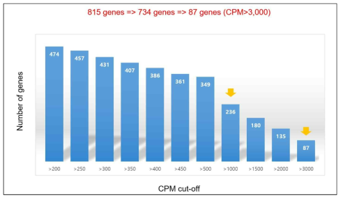 뇌조직을 이용한 RNA-seq 결과 발현량 분석