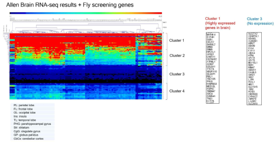 Hierarchical clustering을 이용한 치매관련 유전자군들의 뇌 발현 정도 확인