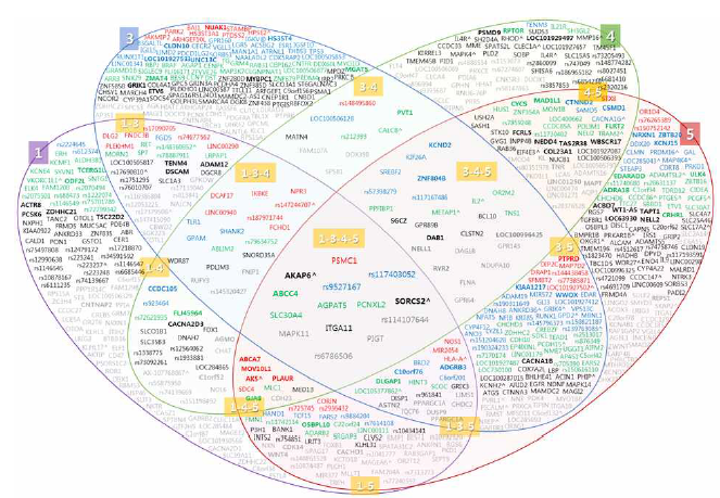 다양한 형태로 샘플들을 구분(GA1, GA3, GA4, GA5)한 결과로부터 유의수준 10e-03보다 작은 p-value(logistic regression)를 갖는 유전변이들의 벤다이어그램