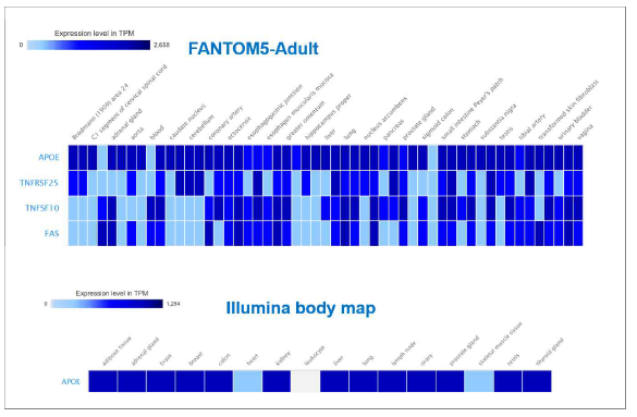 다양한 공공 RNA-seq DB를 이용한 치매 관련 유전자의 발현량 확인