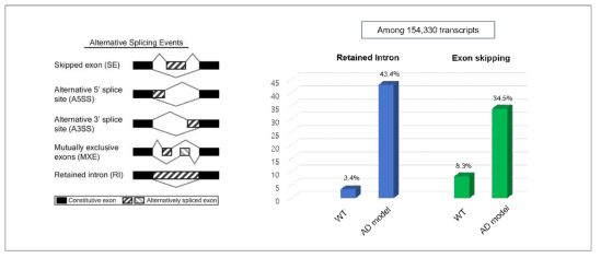 치매 모델 생쥐 뇌의 RNA-seq 분석 결과 및 alternative splicing 결과 확인