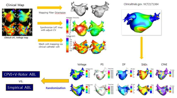 심장구조, 조직, 심근특성 반영 3D 모델 및 지배방정식 적용 시뮬레이션 플로우