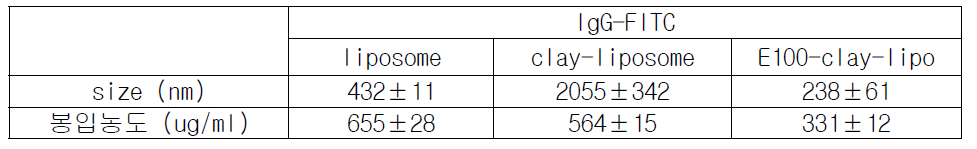 IgG-FITC를 봉입한 리포좀 (리피드 코어)의 코팅에 따른 전달체 크기 및 봉입 농도의 변화