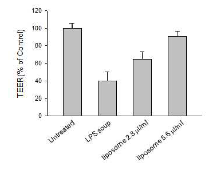 염증 반응에 의한 in vitro 장점막의 막저항 값 변화와 리포좀의 수복 효과