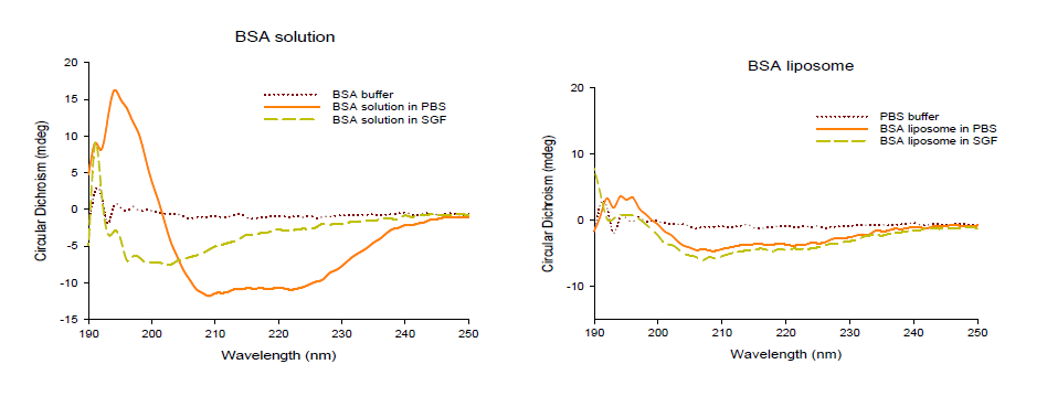 FITC-BSA (왼쪽) 및 liposome 봉입 FITC-BSA의 PBS 및 인공위액(소화 효소+) 1시간 방치 후의 CD 스펙트럼 비교