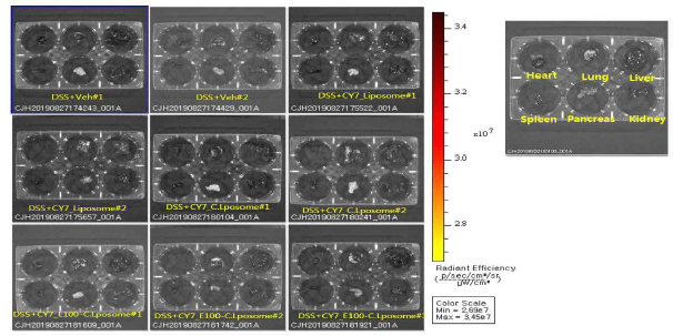 Cy7-label된 3종의 약물 전달체를 DSS에 의해 염증이 유발된 마우스에 경구 투여 7시간 후 심장, 폐, 간, 비장, 췌장, 신장으로의 이행도 평가