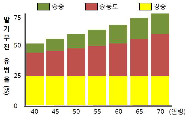 발기부전의 유병율