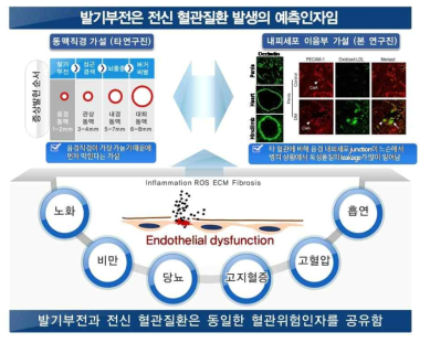 발기부전의 원인