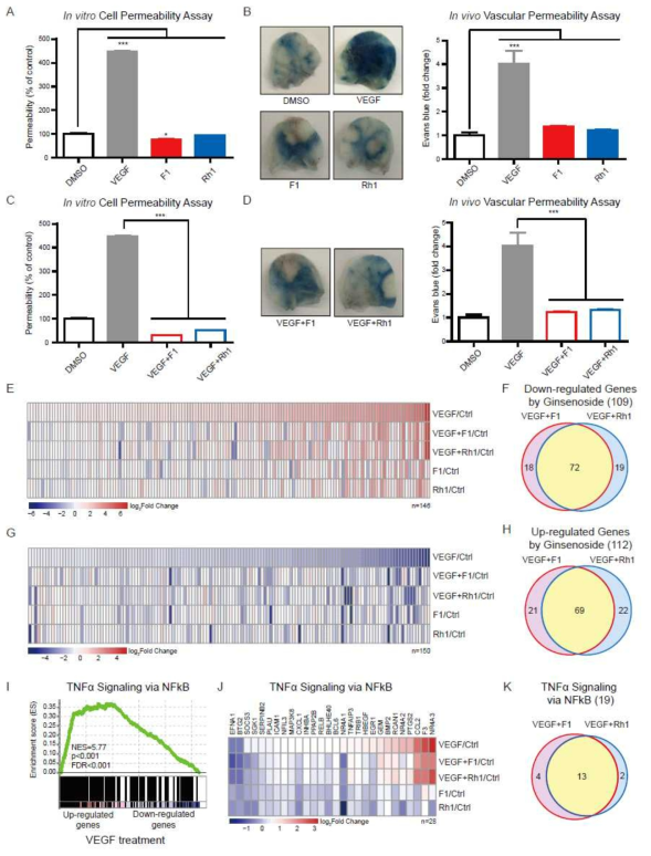 F1 and Rh1 inhibit vascular leakage