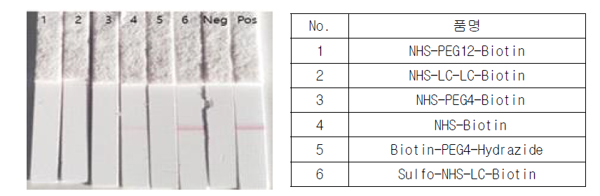 Biotinylation 효율 확인 시험 결과