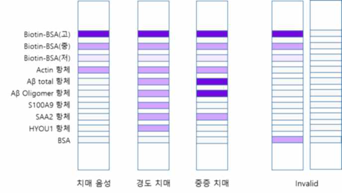 Multiplex 치매 조기진단 키트의 설계