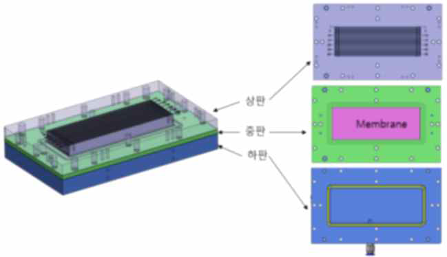 면역블롯 지그 모식도