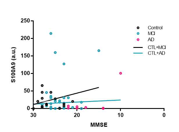 S100A9(오른쪽) 단백질 검출과 MMSE 인지검사와의 상관성 비교