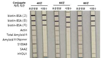 Conjugate mixture 용액의 반응 시간 별 immunoblot 결과