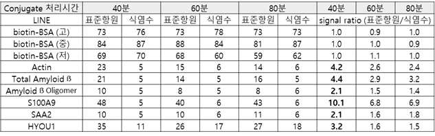 Conjugate mixture 용액의 반응 시간 별 immunoblot 발색 분석 결과