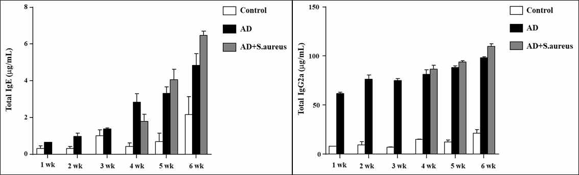 DFE와 S. aureus 처리된 마우스 혈청에서의 면역글로불린 생성량 변화