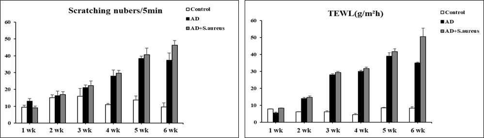 DFE와 S.aureus 처리된 마우스에서의 긁는 횟수와 경피 수분 손실도